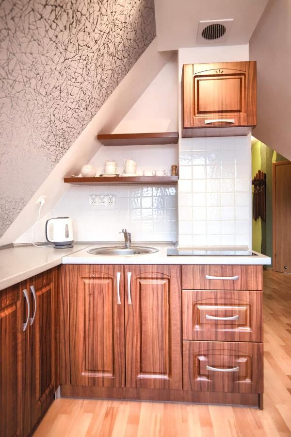 Golden Apartments Zakopane- One Bedroom Apartment - Mountain View&B14 Eksteriør billede